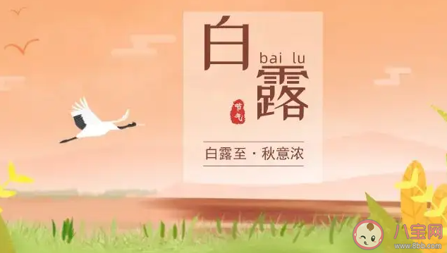 2022今日白露的朋友圈文案精選 今日白露發(fā)朋友圈說說句子