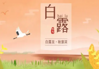 2022今日白露的朋友圈文案精選 今日白露發(fā)朋友圈說說句子