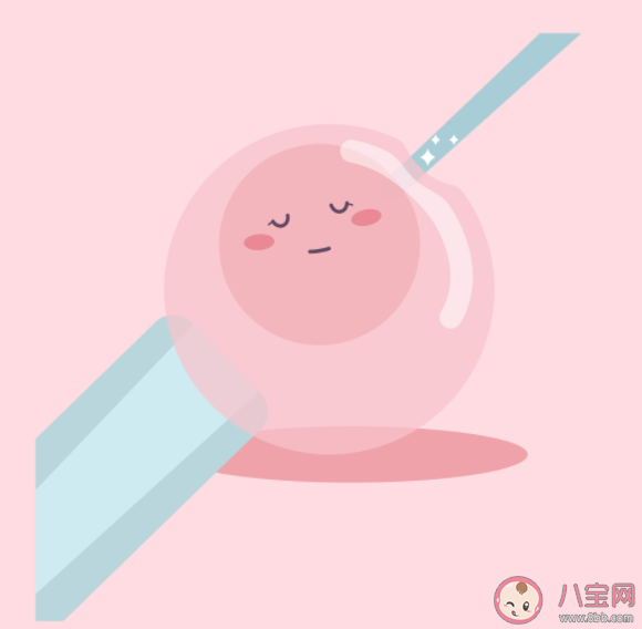 胚胎移植哪種成功率最高 胚胎移植后要做好哪些事情