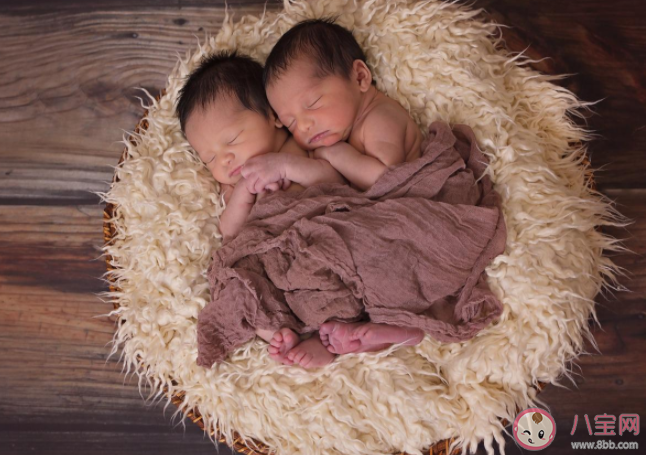 雙胞胎會(huì)在肚子里打架嗎 雙胞胎雙絨雙羊是什么意思