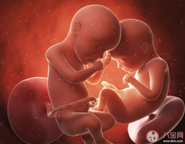雙胞胎在媽媽肚子里是如何相處的 懷雙胞胎注意事項(xiàng) 雙胞胎在媽媽肚子里是如何相處的 懷雙胞胎注意事項(xiàng)