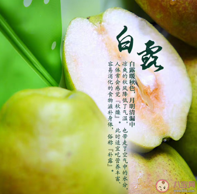 為什么形容露水是白的 白露節(jié)氣的由來是怎樣的