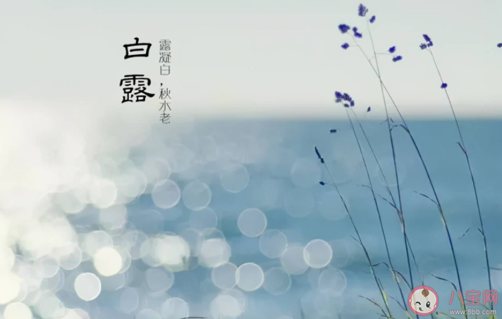 白露三侯是哪三侯 白露如何養生