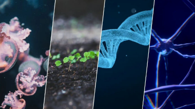 什么是合成生物 合成生物有多神奇 什么是合成生物 合成生物有多神奇