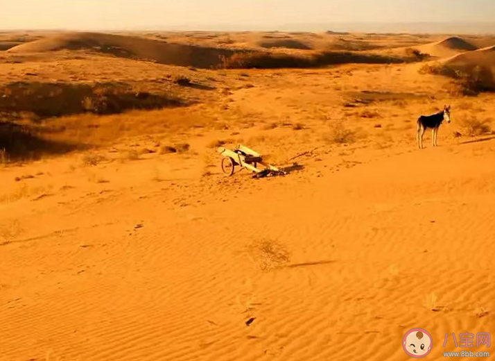 《隱入塵煙》取景地是在哪里 《隱入塵煙》的票房奇跡說明了什么