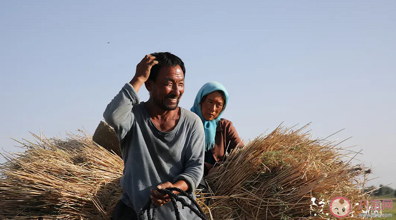 《隱入塵煙》取景地是在哪里 《隱入塵煙》的票房奇跡說明了什么