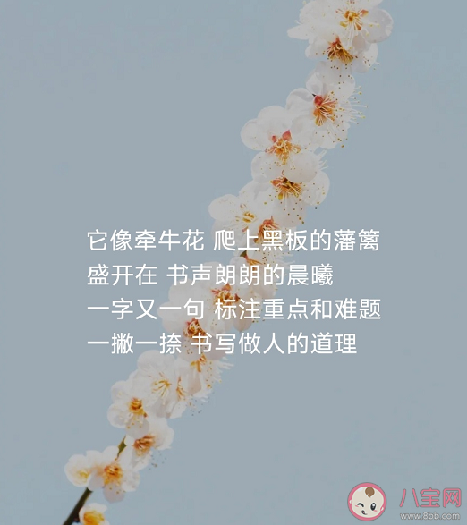 檀健次新歌《粉筆》歌詞是什么 《粉筆》完整版歌詞內容