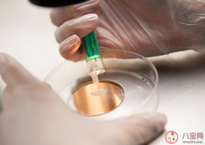 男性精液檢查主要是看什么 精液檢查前注意事項