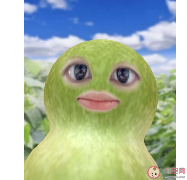 互聯網苦學是什么意思 互聯網苦學為什么會流行 互聯網苦學是什么意思 互聯網苦學為什么會流行