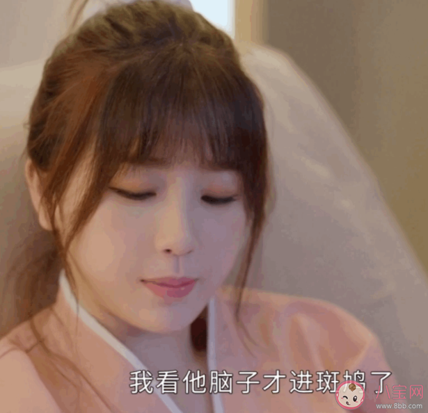 圓柏斑鳩是什么梗 你個圓柏你個斑鳩是什么意思 圓柏斑鳩是什么梗 你個圓柏你個斑鳩是什么意思