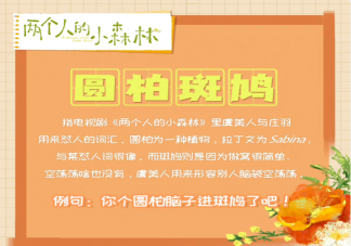 圓柏斑鳩是什么梗 你個圓柏你個斑鳩是什么意思