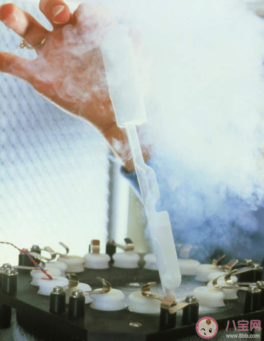 體外受精胚胎14天規則是什么意思 哪些情況可以選擇體外受精