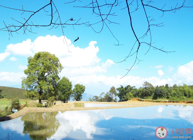 年輕人為什么選擇躺游 今年國(guó)慶哪種旅游方式受歡迎