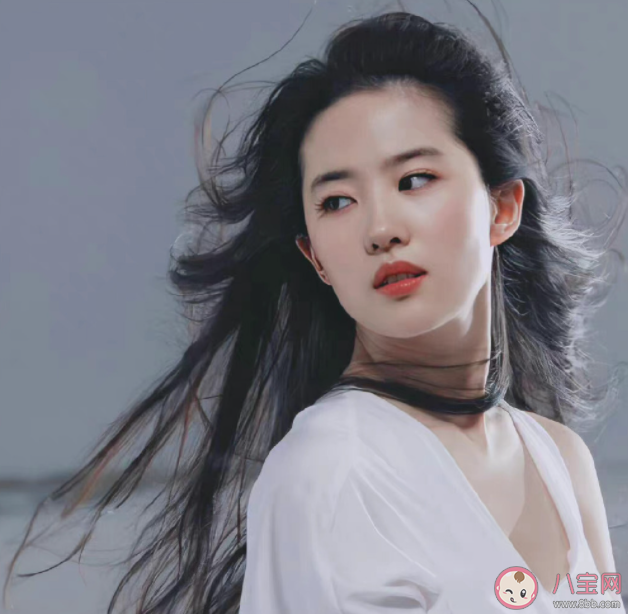 《去有風的地方》原著小說是什么 《去有風的地方》講的是什么故事