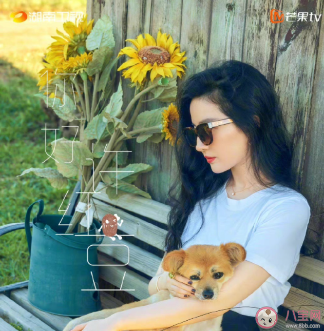 《去有風的地方》原著小說是什么 《去有風的地方》講的是什么故事