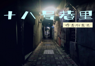 《十八號巷里》改編自什么小說 《十八號巷里》講的是什么故事