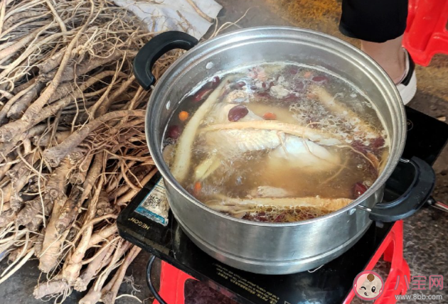 月子中心在雞湯里加黨參被罰 雞湯里面不能加黨參嗎 月子中心在雞湯里加黨參被罰 雞湯里面不能加黨參嗎