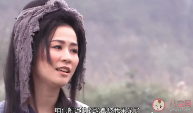 王寶釧挖野菜是什么梗 王寶釧挖野菜梗的出處是什么