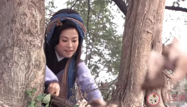 王寶釧挖野菜是什么梗 王寶釧挖野菜梗的出處是什么