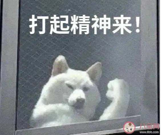 先質(zhì)疑別相信是什么梗 先質(zhì)疑別相信什么意思 先質(zhì)疑別相信是什么梗 先質(zhì)疑別相信什么意思