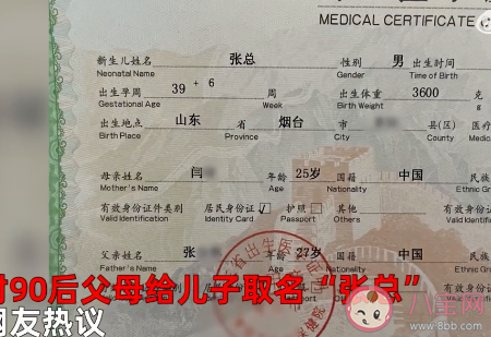 90后父母給兒子取名為張總 張姓好聽有意義的名字有哪些