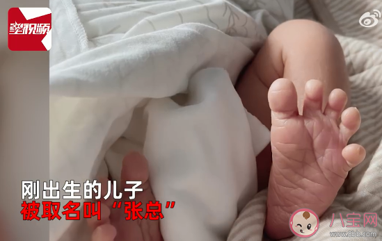 90后父母給兒子取名為張總 張姓好聽有意義的名字有哪些