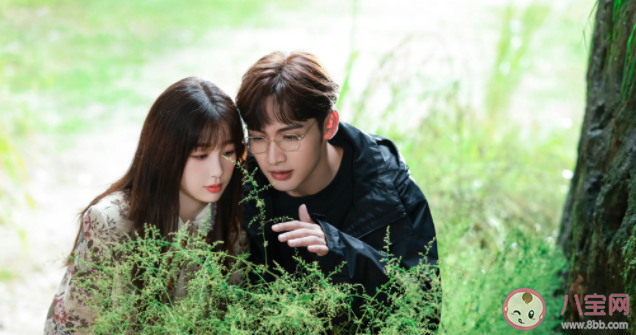 《兩個人的小森林》第二部在籌備中嗎 第二部還是不是原班人馬