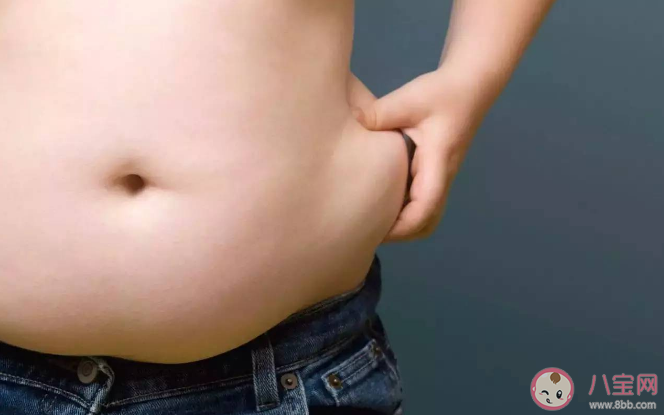 肚子肉越多的人可能越笨 如何減掉腰腹贅肉