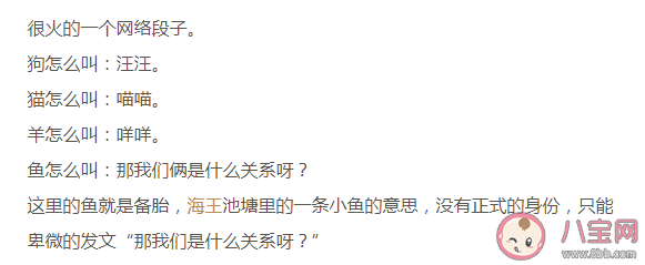 魚怎么叫是什么梗什么意思 魚怎么叫梗出處是什么 魚怎么叫是什么梗什么意思 魚怎么叫梗出處是什么