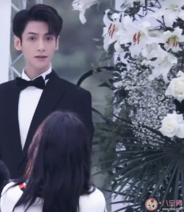 《愛情遇見達爾文》原著小說是什么 《愛情遇見達爾文》講的是什么故事