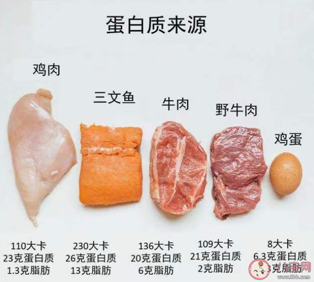 減肥只吃水煮菜更易反彈嗎 減肥期間如何健康飲食 減肥只吃水煮菜更易反彈嗎 減肥期間如何健康飲食