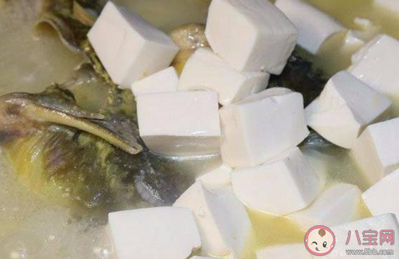 在燉魚(yú)的時(shí)候能不能放八角 魚(yú)怎么做好吃