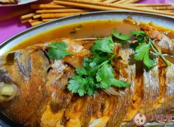 在燉魚(yú)的時(shí)候能不能放八角 魚(yú)怎么做好吃