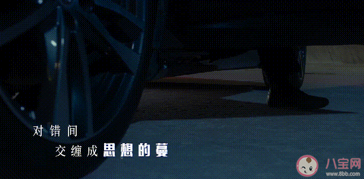 劉惜君《循光者》歌詞是什么 《循光者》完整版歌詞在線試聽