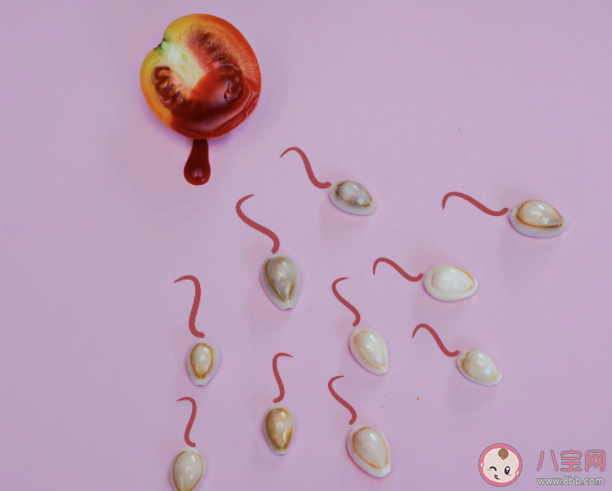 研究稱男性生育能力斷崖式下跌 影響男性生育能力的因素有哪些 研究稱男性生育能力斷崖式下跌 影響男性生育能力的因素有哪些