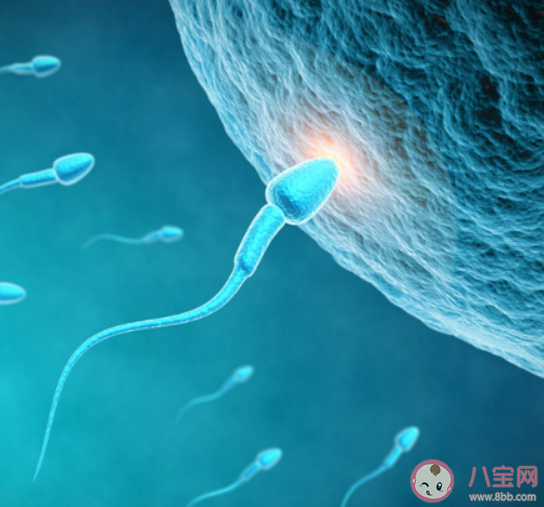 研究稱男性生育能力斷崖式下跌 影響男性生育能力的因素有哪些 研究稱男性生育能力斷崖式下跌 影響男性生育能力的因素有哪些