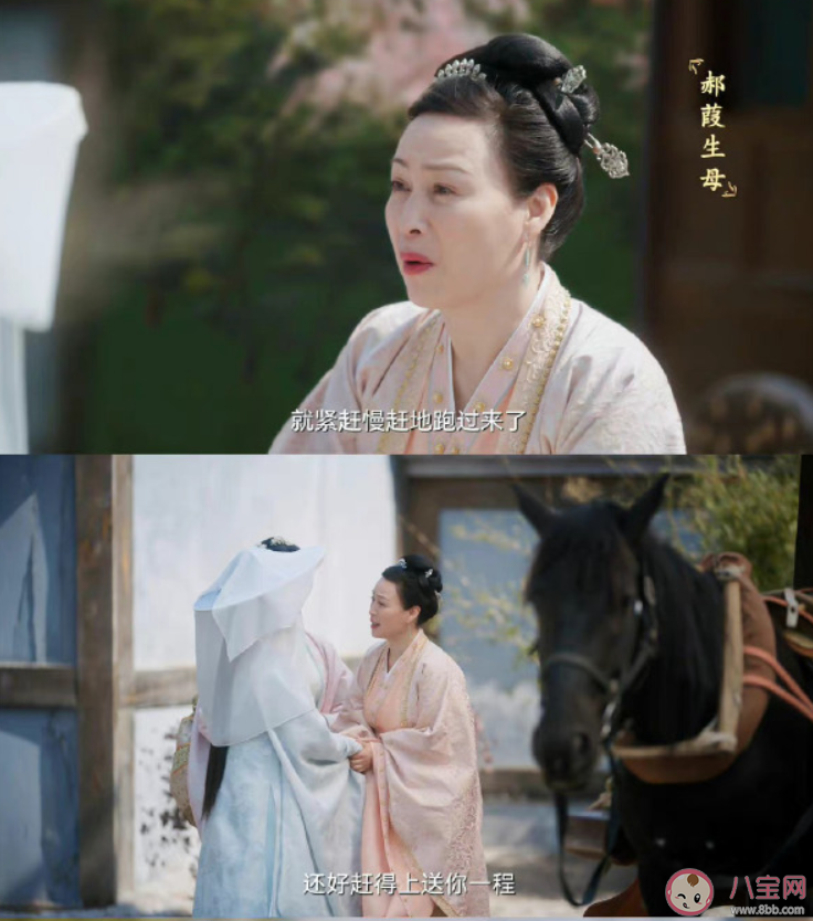 《卿卿日常》郝葭母親是pua嗎 郝葭母親為什么讓人窒息 《卿卿日常》郝葭母親是pua嗎 郝葭母親為什么讓人窒息