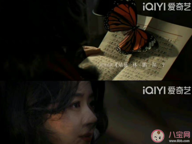 《風吹半夏》片頭蝴蝶有什么含義 虎斑蝶代表著什么 《風吹半夏》片頭蝴蝶有什么含義 虎斑蝶代表著什么