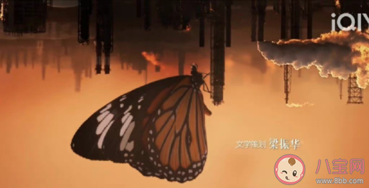 《風吹半夏》片頭蝴蝶有什么含義 虎斑蝶代表著什么 《風吹半夏》片頭蝴蝶有什么含義 虎斑蝶代表著什么