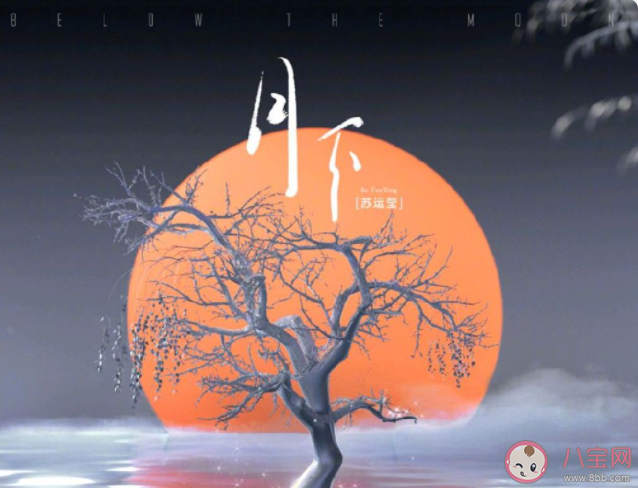 天青青雨清清誰在月下花弄影是什么歌 《月下》完整版歌詞在線聽歌