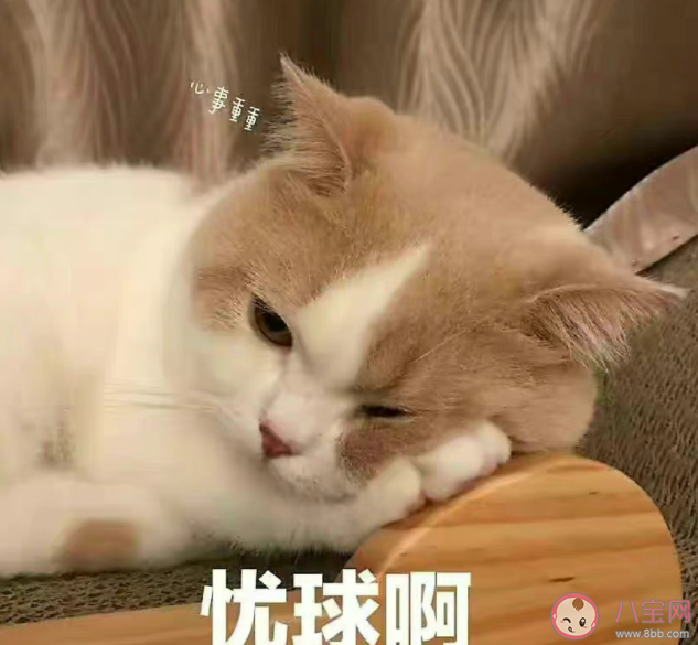 為什么年輕人不愛看黃金8點檔了 黃金8點檔不受歡迎的原因是什么 為什么年輕人不愛看黃金8點檔了 黃金8點檔不受歡迎的原因是什么