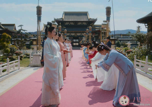 《卿卿日常》是不是高開低走了 《卿卿日常》各人物結(jié)局是什么