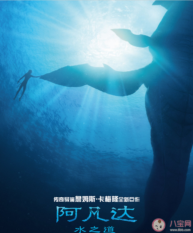 看阿凡達(dá)2買什么票效果最好 《阿凡達(dá)2》片源質(zhì)量有哪些格式 看阿凡達(dá)2買什么票效果最好 《阿凡達(dá)2》片源質(zhì)量有哪些格式