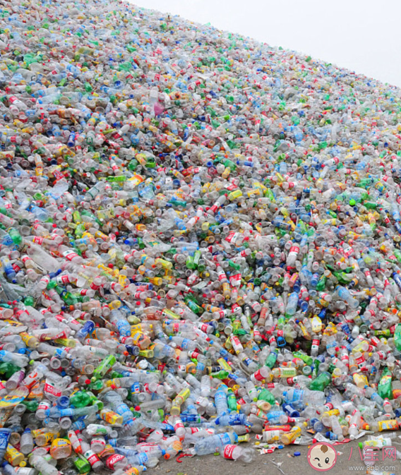 女子跨年夜撿煙花廢品賺552元是真的嗎 賣廢品有多賺錢