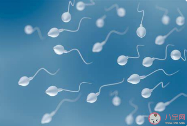 夫妻陽康后著急備孕遭勸阻是怎么回事 陽康后多久可以備孕