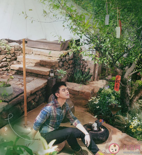 《去有風的地方》追劇日歷 《去有風的地方》更新時間表