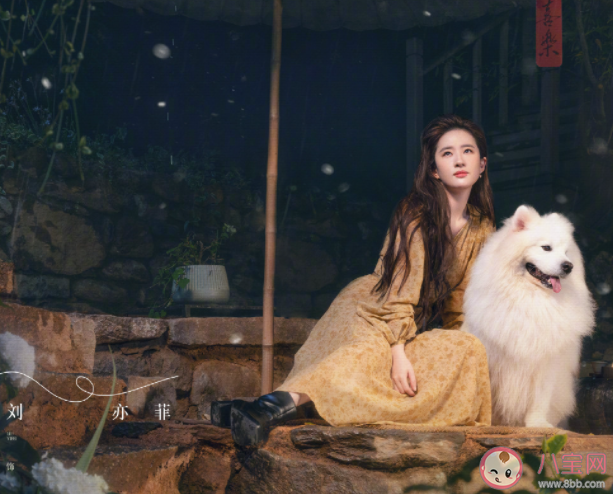 《去有風的地方》每周更新幾集 《去有風的地方》劇情介紹 《去有風的地方》每周更新幾集 《去有風的地方》劇情介紹