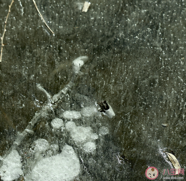 趙讓新歌《紋》歌詞是什么 《紋》完整版歌詞在線聽(tīng)歌