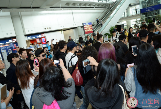 粉絲接送機文化該不該禁止 如何看待粉絲接機行為