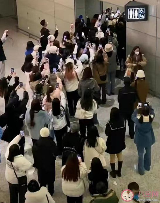 粉絲接送機文化該不該禁止 如何看待粉絲接機行為